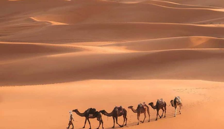 Best desert tour from Marrakech