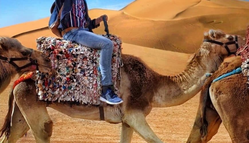 marrakech to fes sahara desert trip